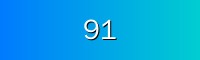 91